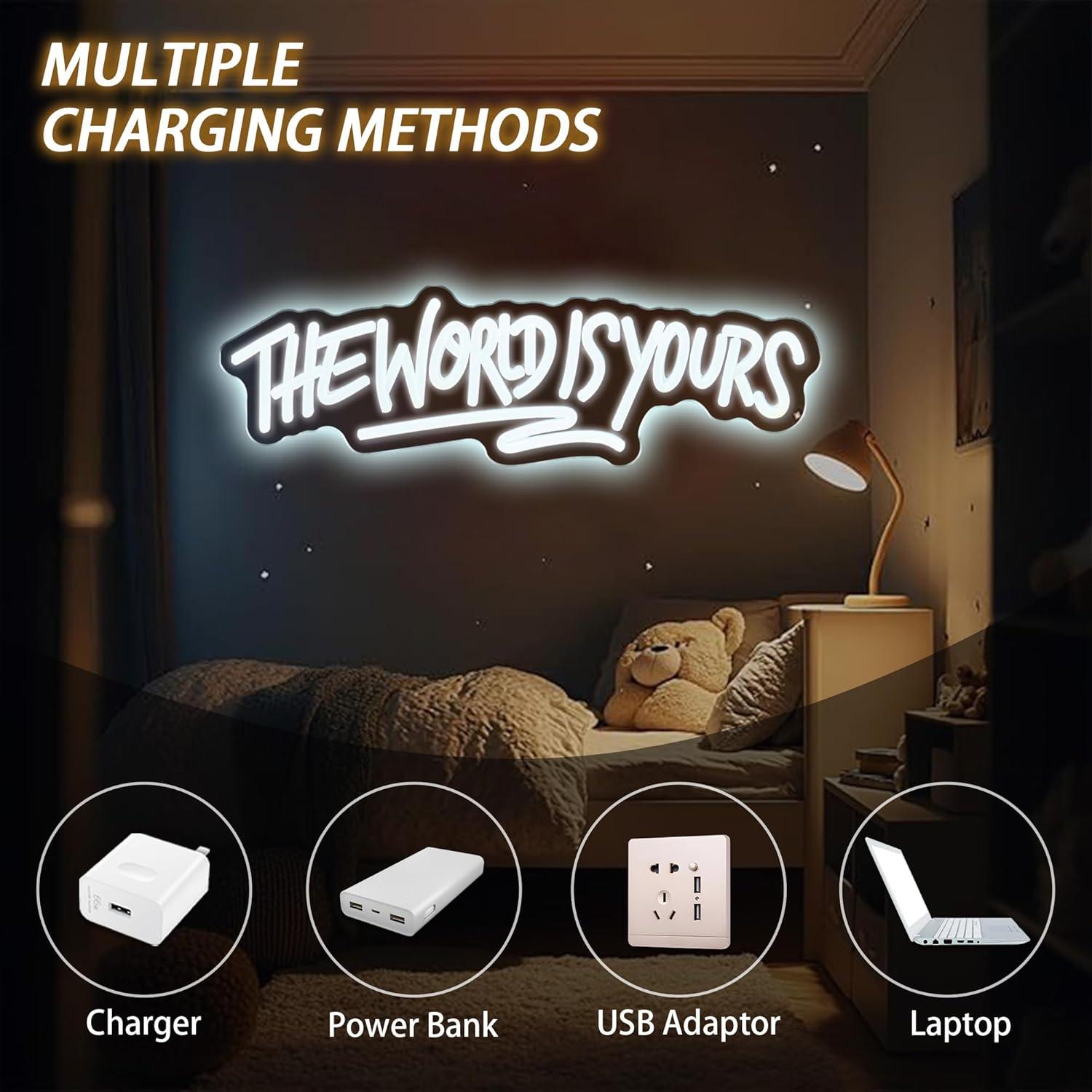 The World is Yours Neon Sign U - Lighting World Decor 评论和价格